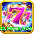 33d Prime New