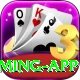 92star Max Gaming App