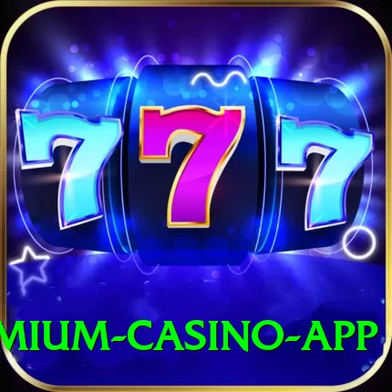 B77 Bet Premium Casino App - 2