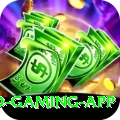 bingo Gold Gaming App