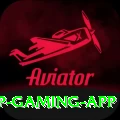 fly33 VIP Gaming App