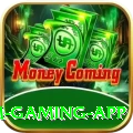tgslot Premium Gaming App